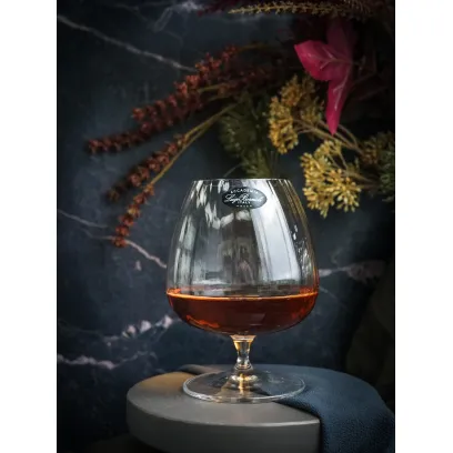 Бокал для коньяка 465 мл SPEAKEASIES SWING