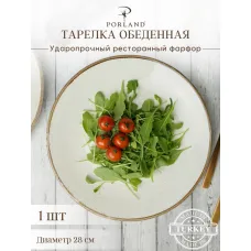 Тарелка мелкая без рима 28 cm